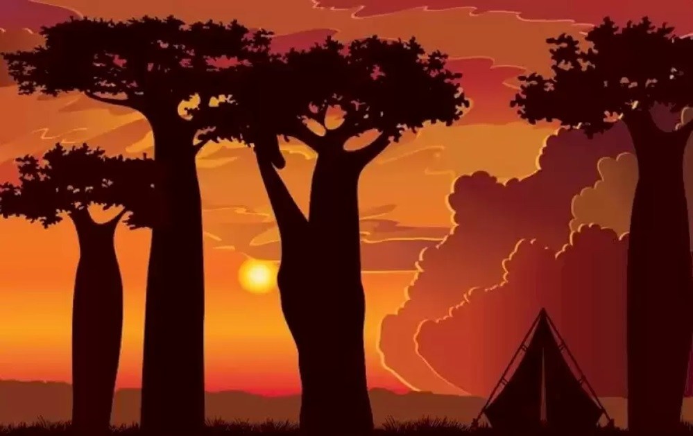 High IQ Optical Illusion