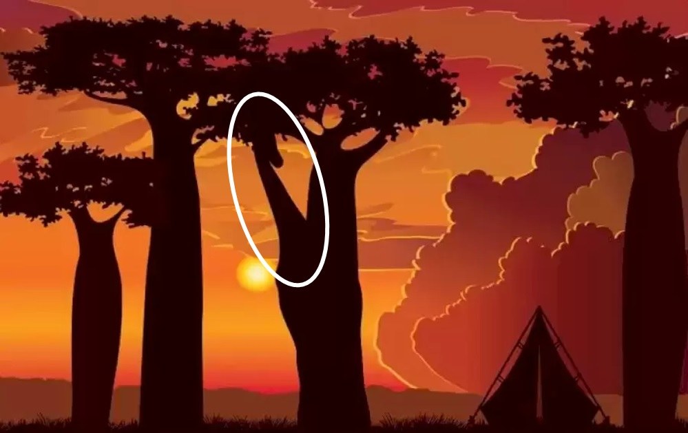 Optical Illusion IQ Test with Answers