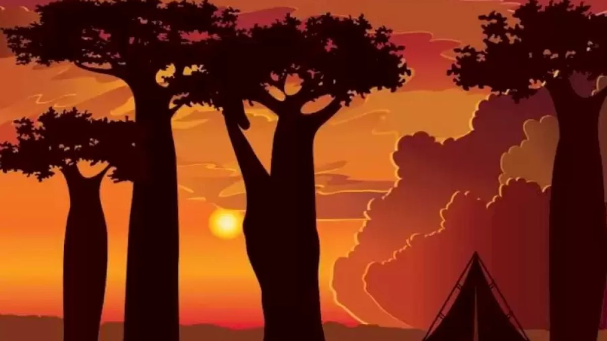Can You Spot The Hidden Giraffe In This Sunset Scene In 5 Secs, 98% Fail To Spot It!