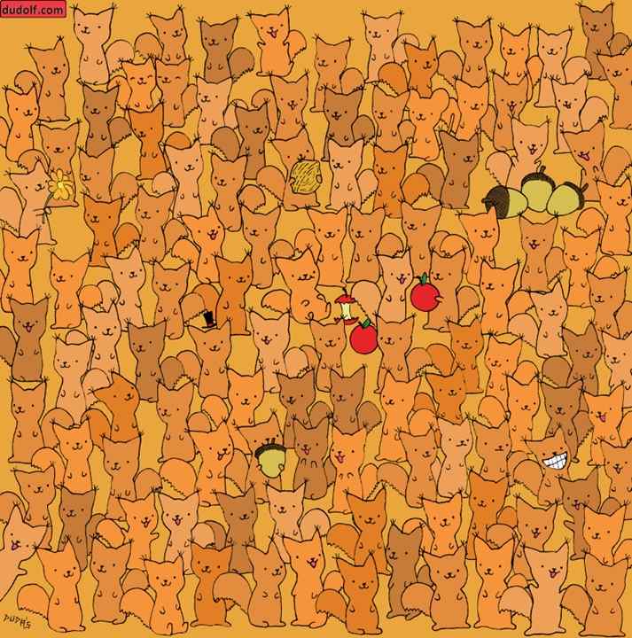 picture puzzles iq test find hidden mouse