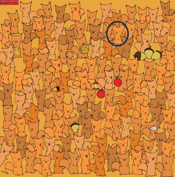 picture puzzles answers