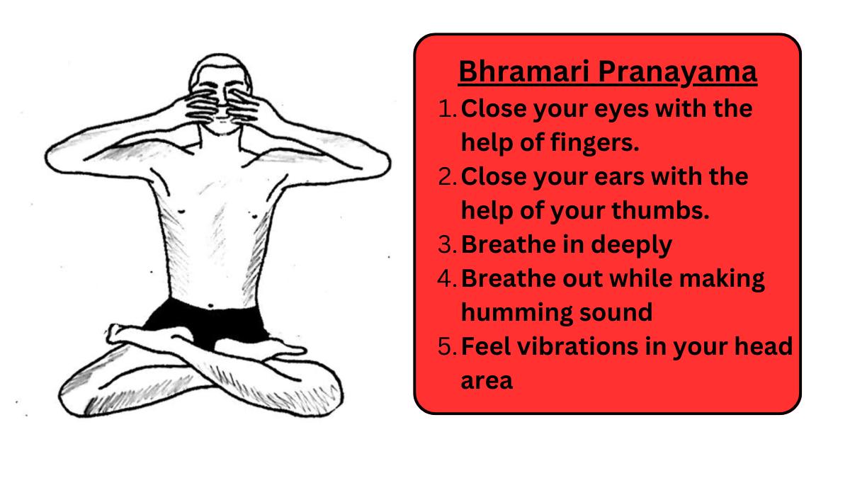How to do Bhramari Pranayama | Humming Bee | Breathing Techniques  🧘‍♀️🕉️🧘‍♀️ - YouTube