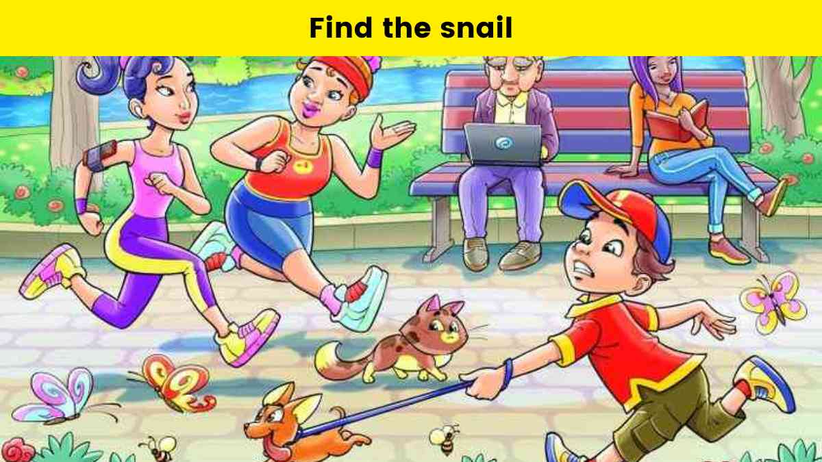 98% fail in finding the snail hidden in the park within 5 seconds. Will you pass?