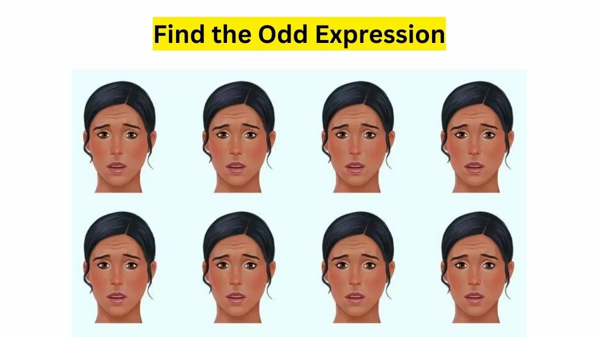 Do you see any odd here?