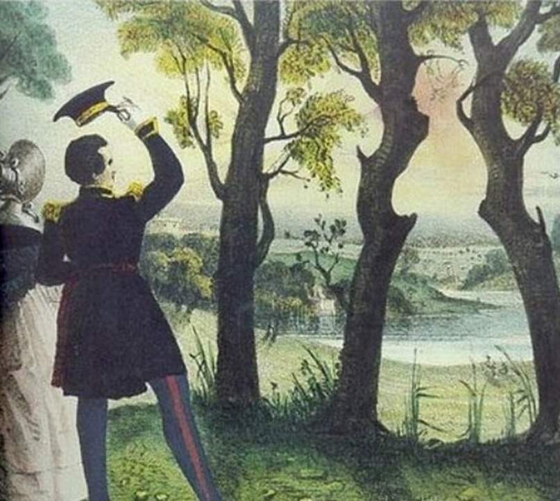 optical illusion for testing your iq