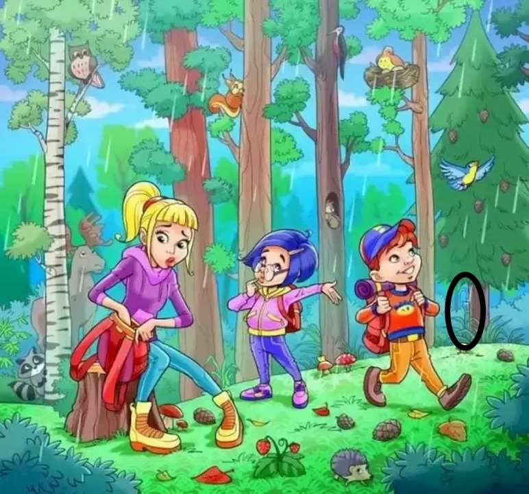 picture puzzle iq test with answers