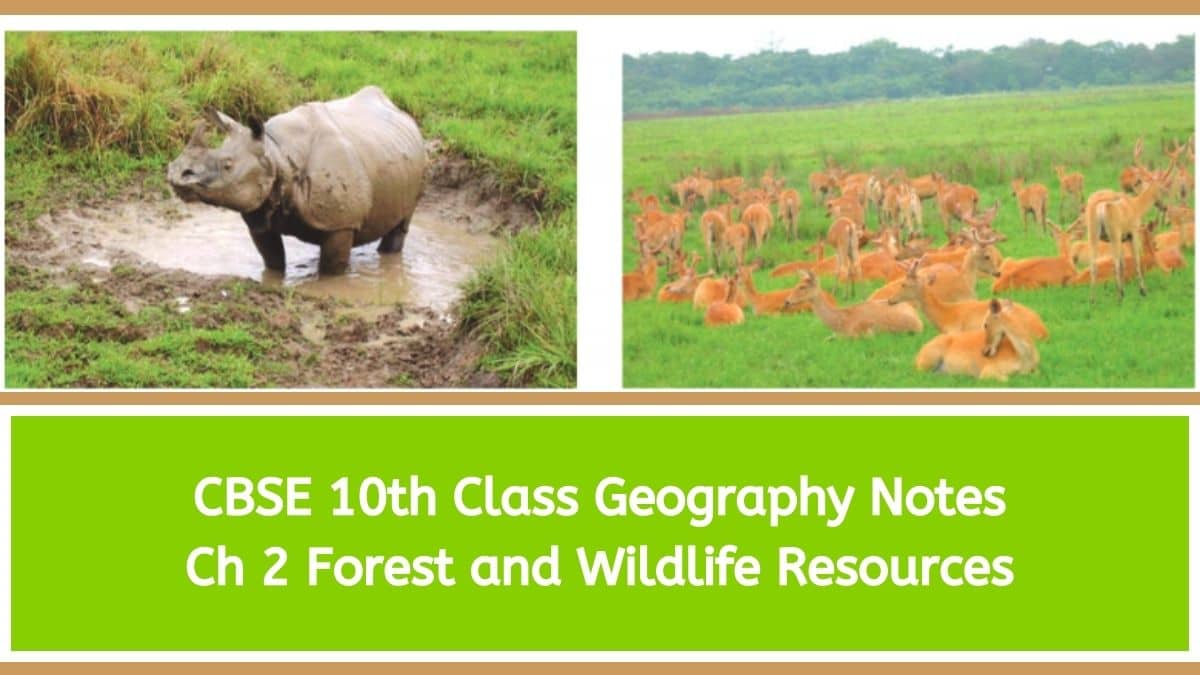 Forest And Wildlife Resources Class 10 Mcq Pdf