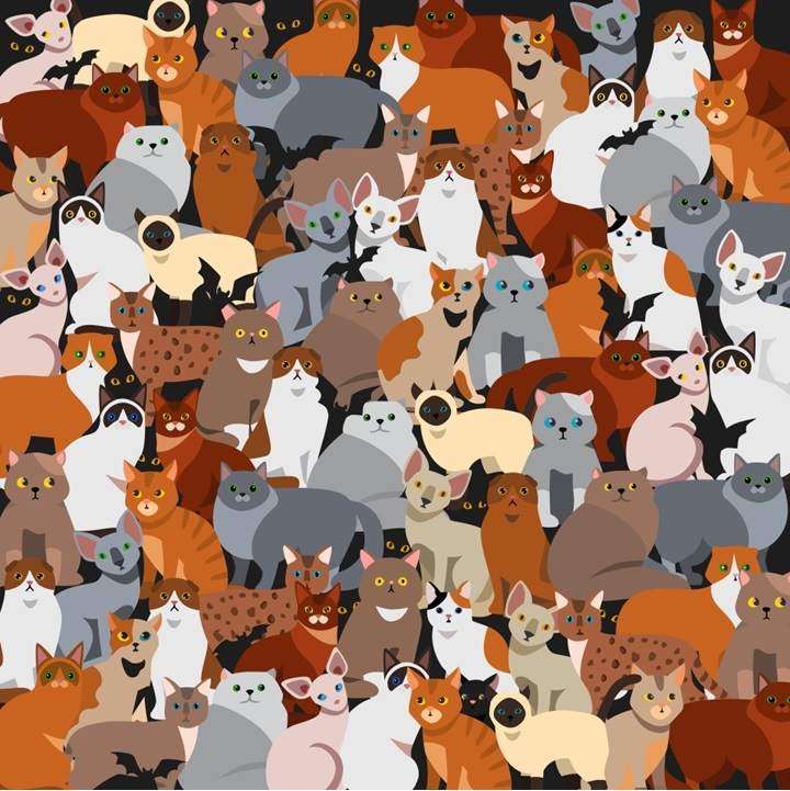 puzzle for testing your iq