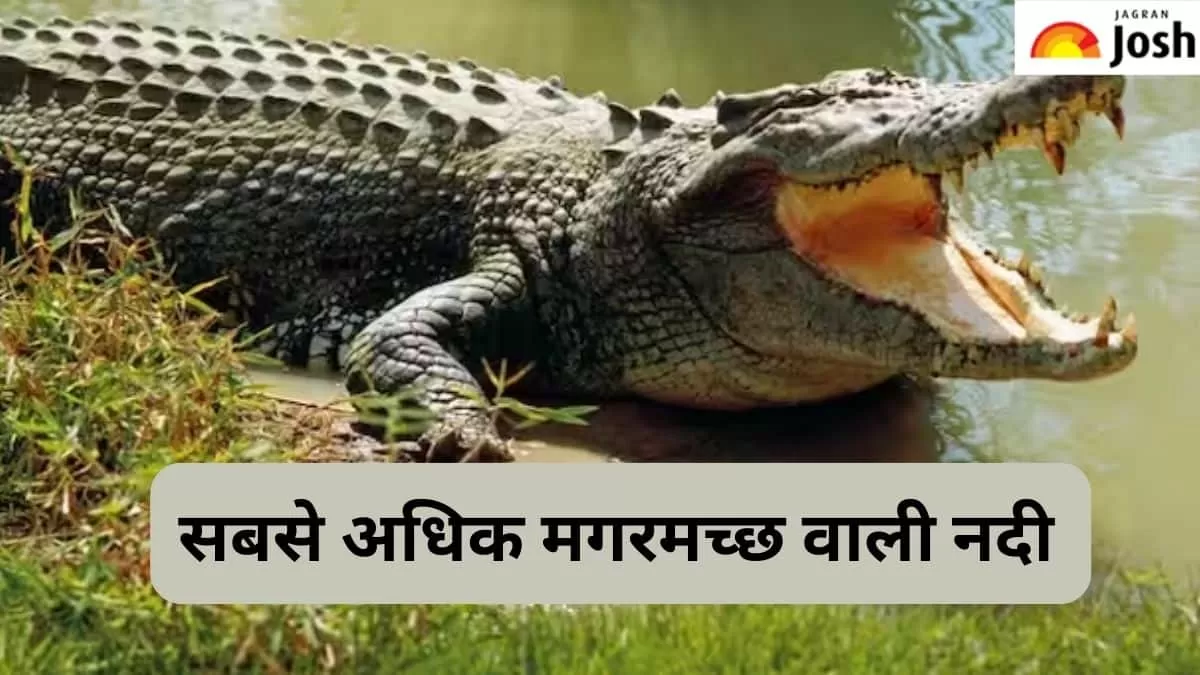 सबसे अधिक मगरमच्छ वाली नदी 