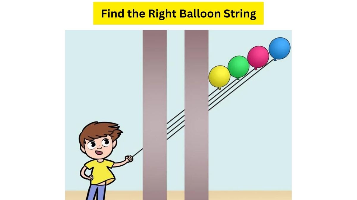 Take on the Ultimate Brain Teaser Challenge! Guess which balloon is  attached to the string boy is holding in 13 seconds.