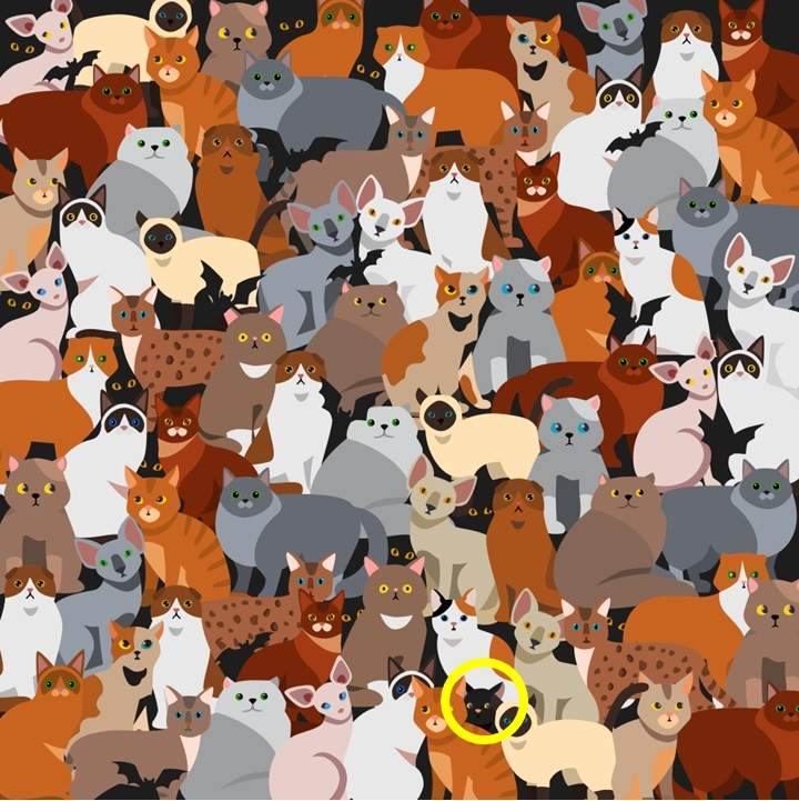 cat puzzles with answers