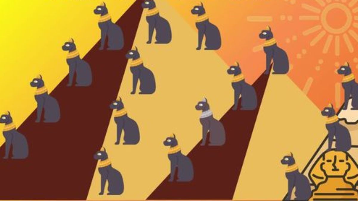 Where is the odd egyptian cat