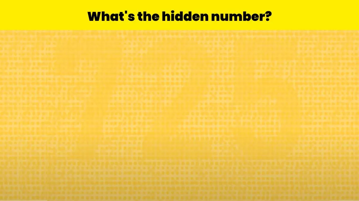Find the hidden number