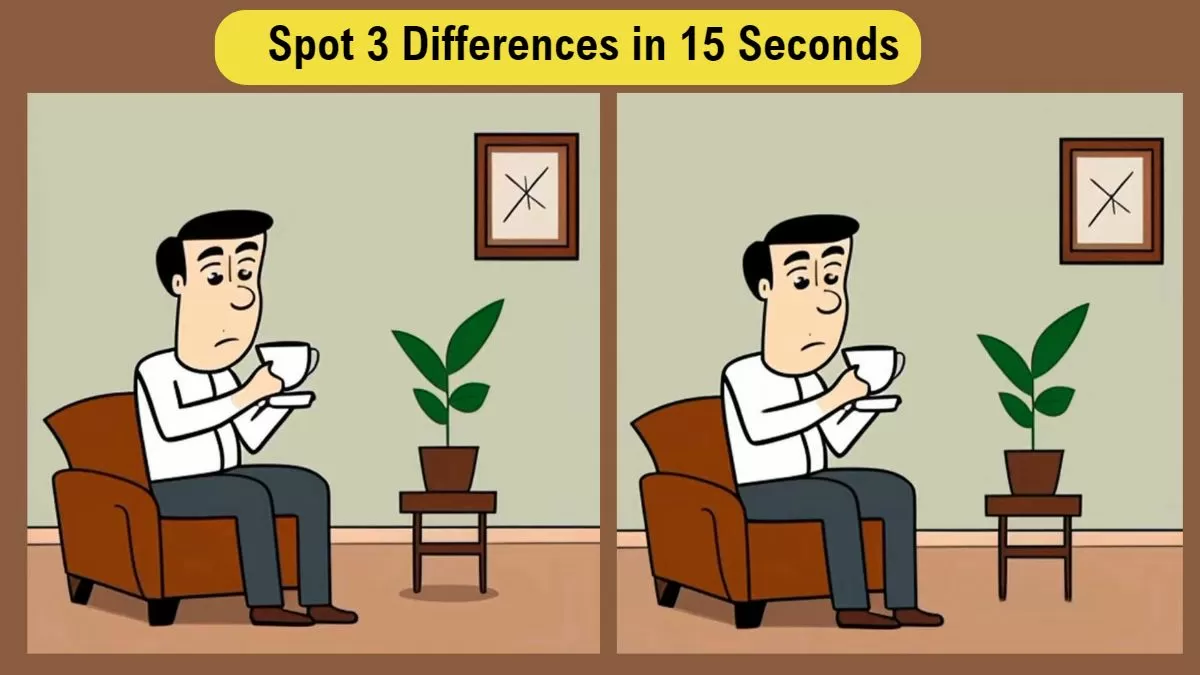 Spot 3 Differences in 15 Seconds