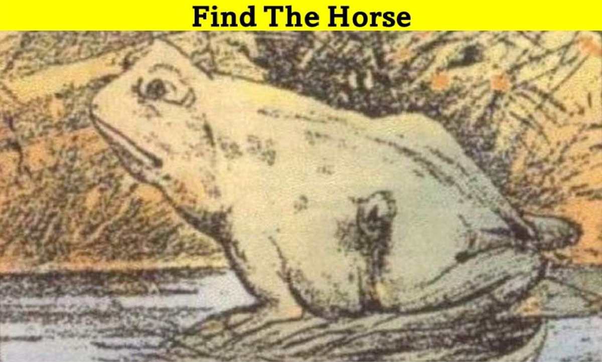 Find The Hidden Horse In 3 Seconds, 99% Fail To Solve This Optical Illusion!