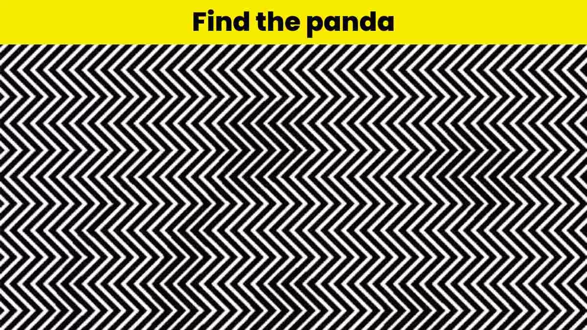 Finding the panda hidden in the zigzag lines is almost impossible. Try ...