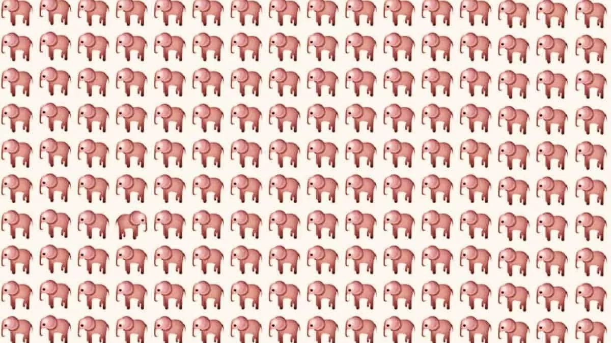 Find the Odd Elephant in 7 Seconds
