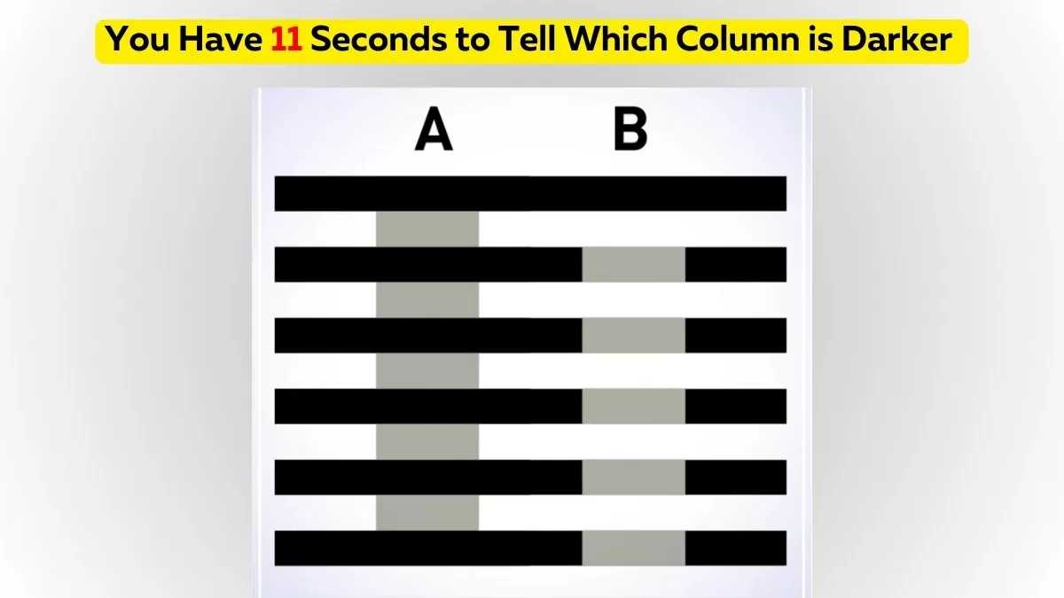 Brain Teaser Challenge: You Have The Eyes Of an Owl If You Tell Which Column is Darker in 11 Seconds?