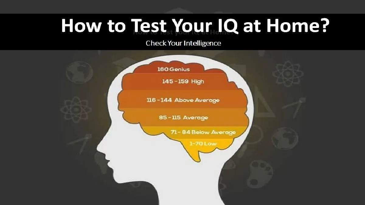 How To Test Your IQ At Home Know 3 Different Ways To Check Your 