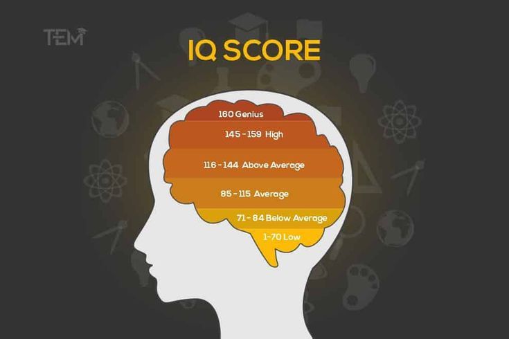 Iq Photos and Images & Pictures