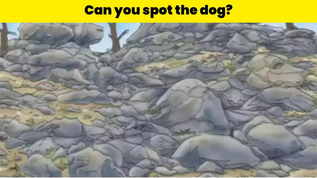 Optical Illusion- Spot the dog hidden in the rocks in 7 seconds
