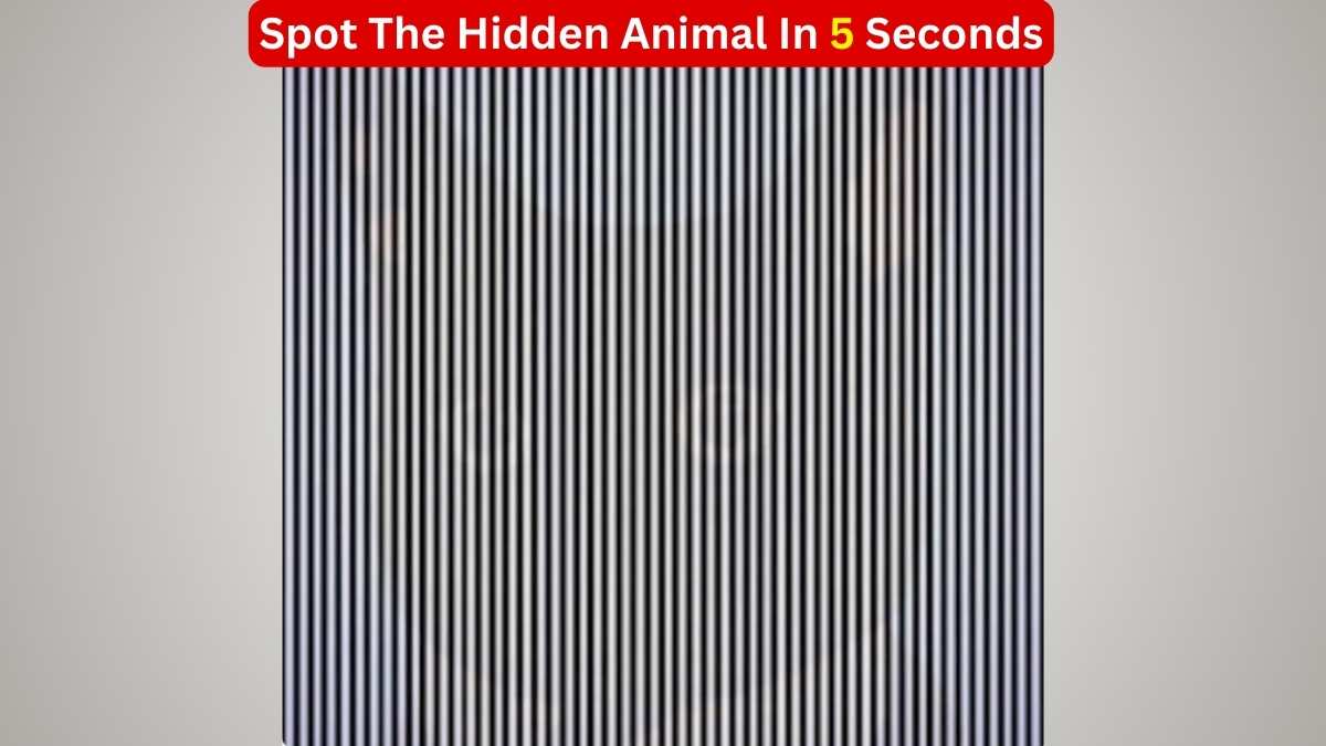Optical Illusion Vision IQ Test: Spot The Hidden Animal in 5 Seconds