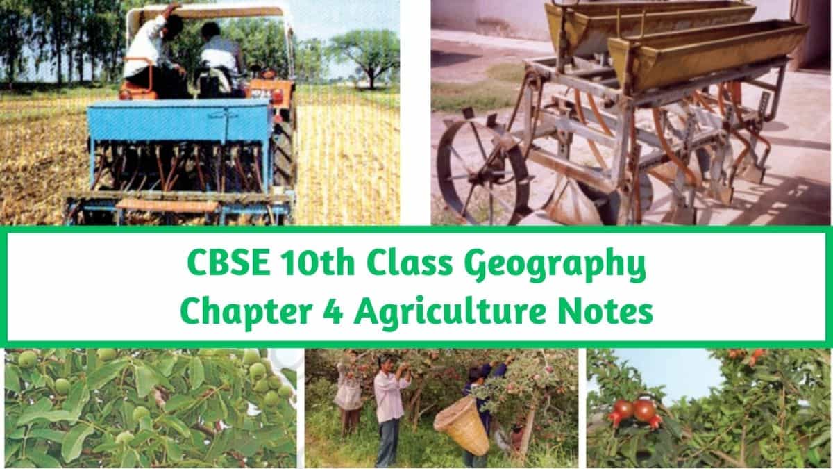 CBSE Class 10 Social Science (Geography) Chapter 4 Agriculture Notes ...