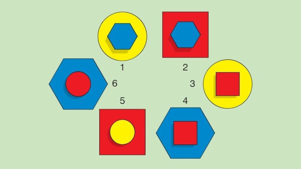 are-you-the-smartest-one-find-the-incorrectly-coloured-figure-in-4