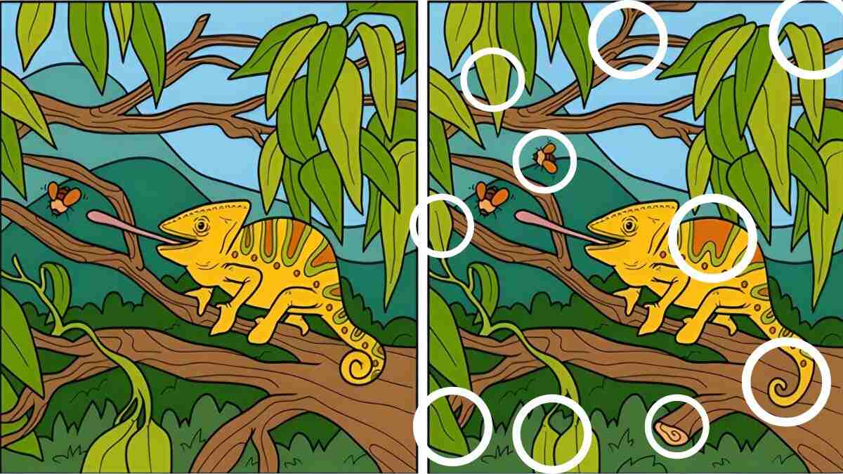 Spot 10 differences in 57 seconds in this mind-blowing challenge