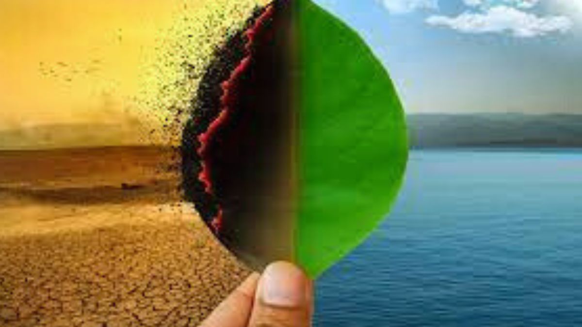 What are some climate change indicators in the United States? Let's understand