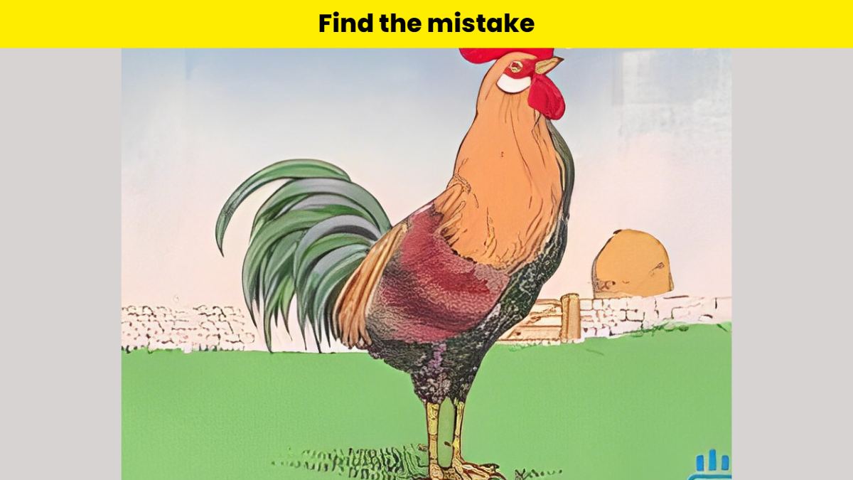 Only the smartest 3% can find the mistake in the rooster picture within 4 seconds!