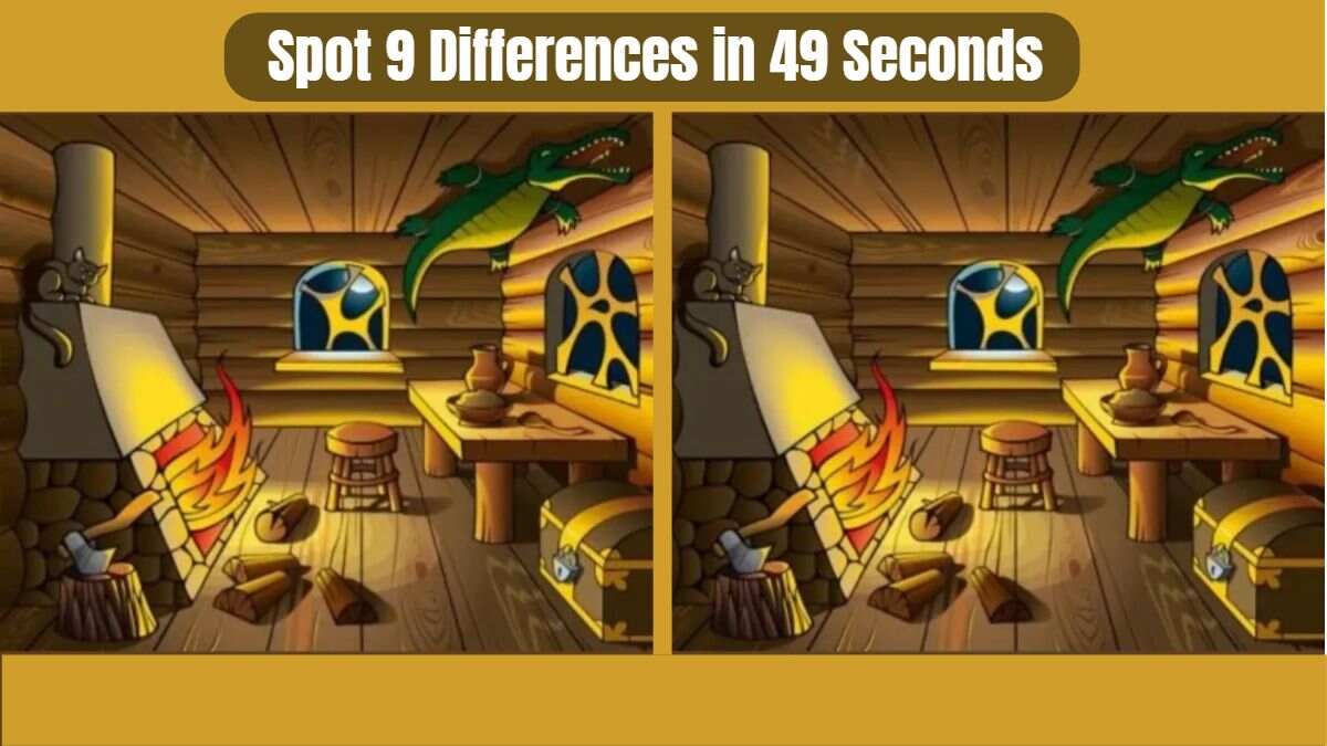 Race Against the Clock: Spot 9 Differences in 49 Seconds!