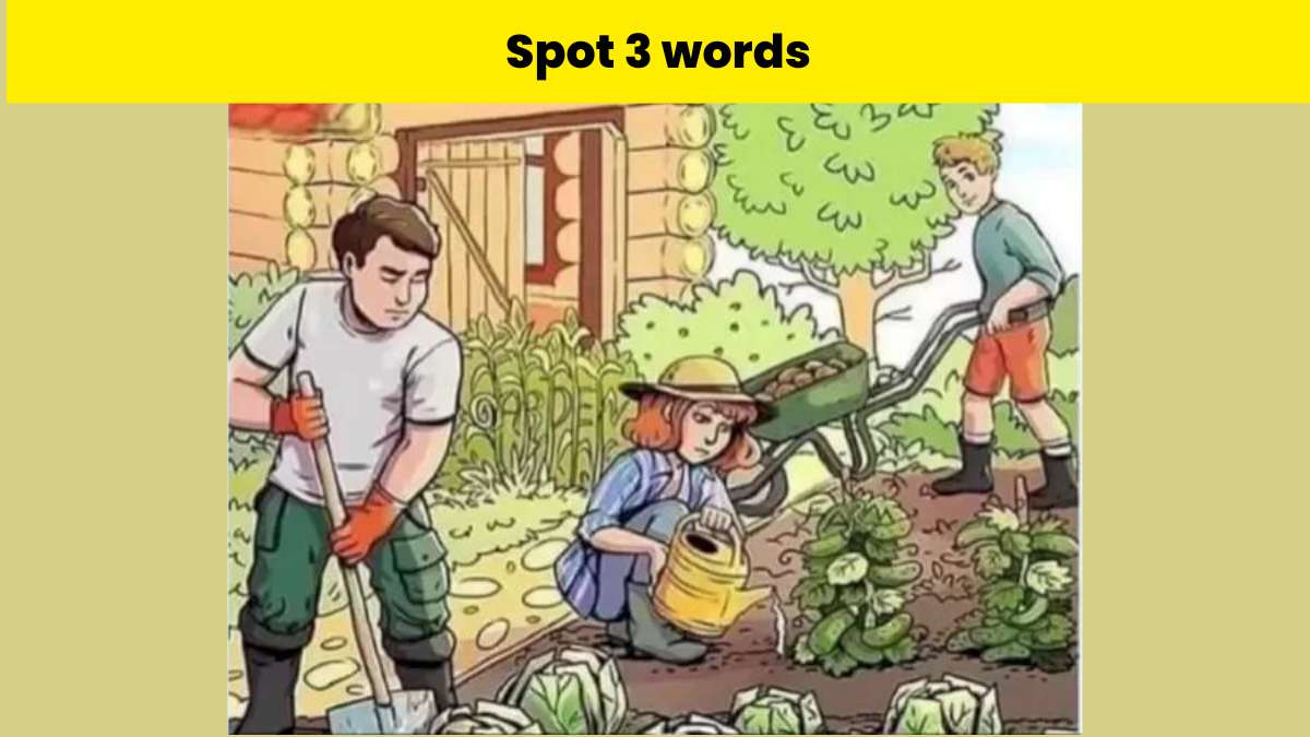 You have hawk eyes if you can spot 3 words hidden in the garden picture ...