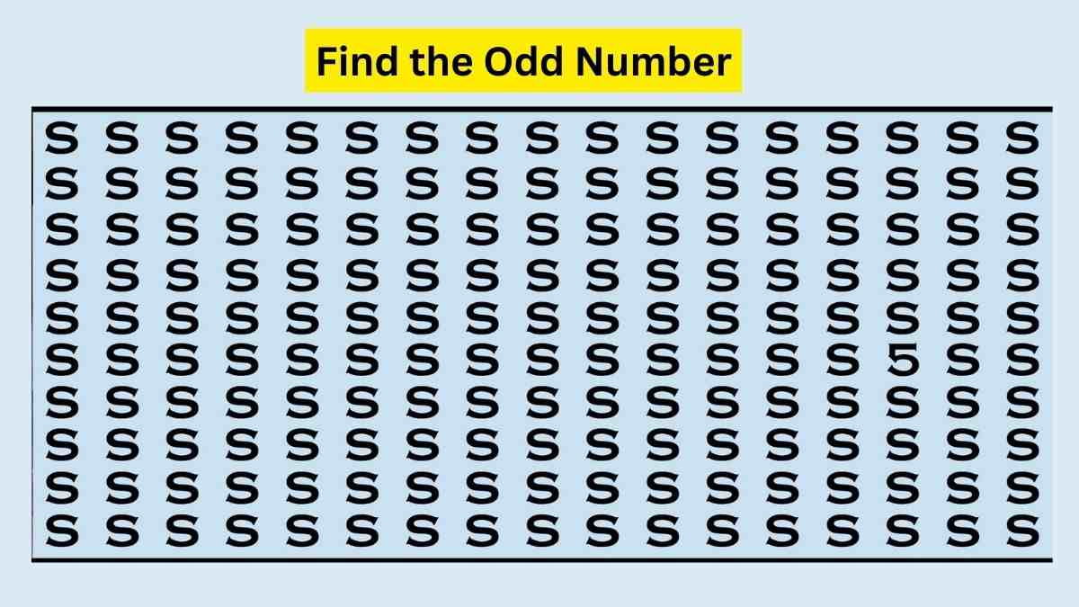 Only 1 Out Of 10 Can Find Number 5 Hidden Among S s In The Picture 13 