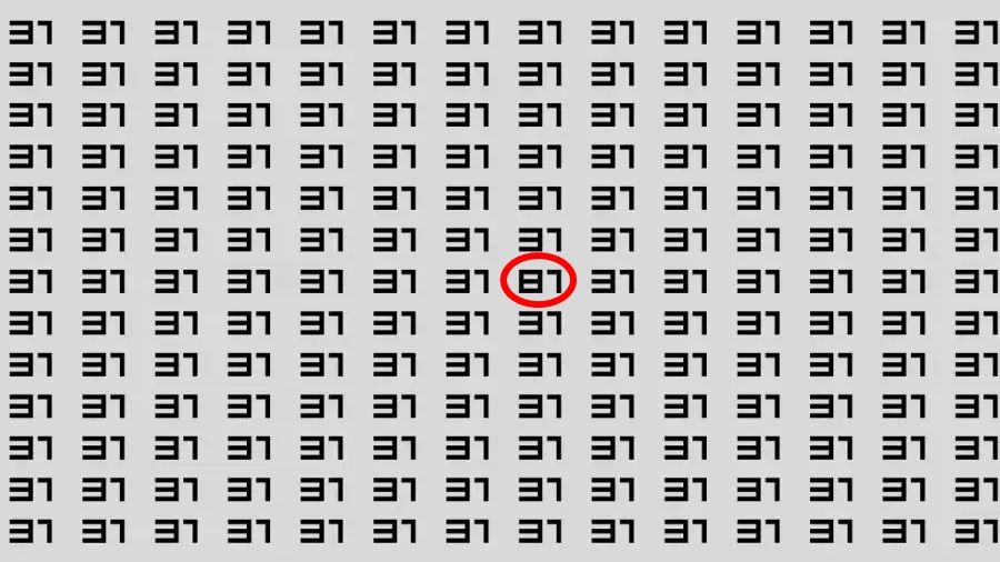 optical illusion answer