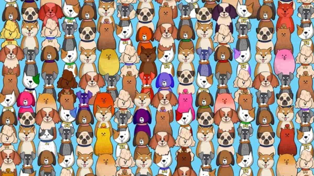 Optical Illusion: Can You Find a Sneaky Cat Hiding Among Dogs in 6 Seconds?