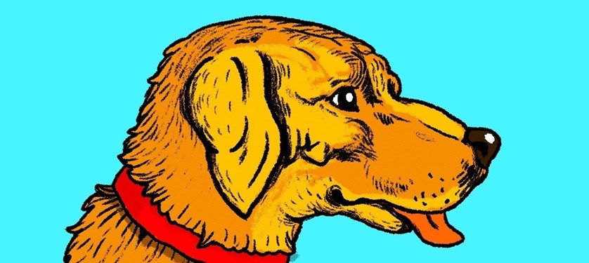 optical illusion hidden faces