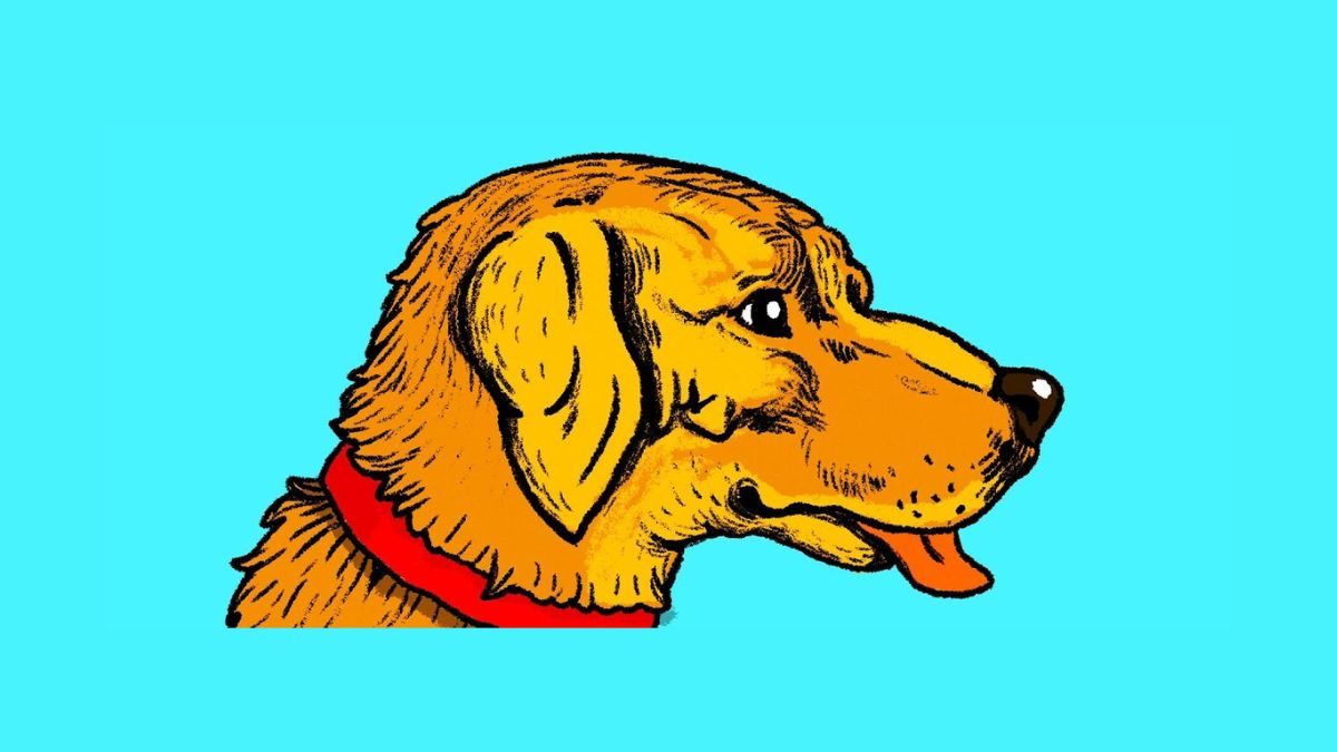 Only 1% High IQ Can Spot A Man’s Face Hidden In This Dog Optical Illusion In 5 Seconds! 