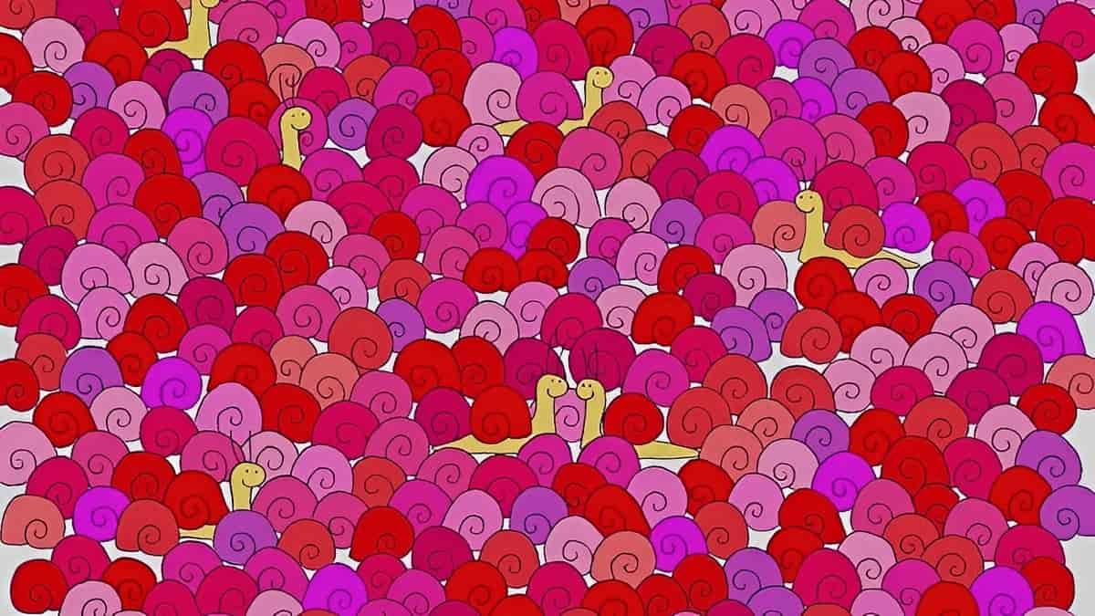 Valentine’s Day Optical Illusion: You are a true lover at heart if you are able to find the heart among snails in 5 seconds