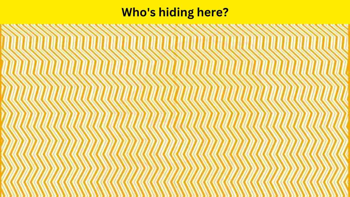 If you have good observation skills, then you can easily find which character is hiding behind the zigzag lines. 