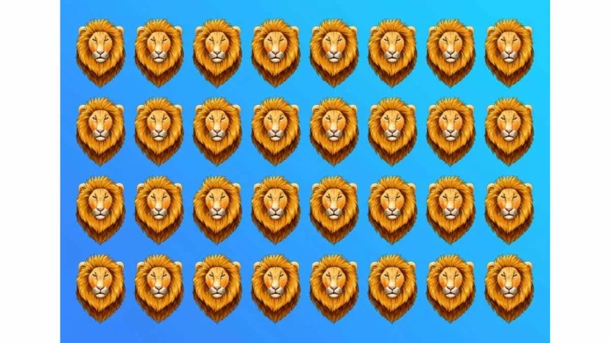 Find Odd Lion in 7 Seconds