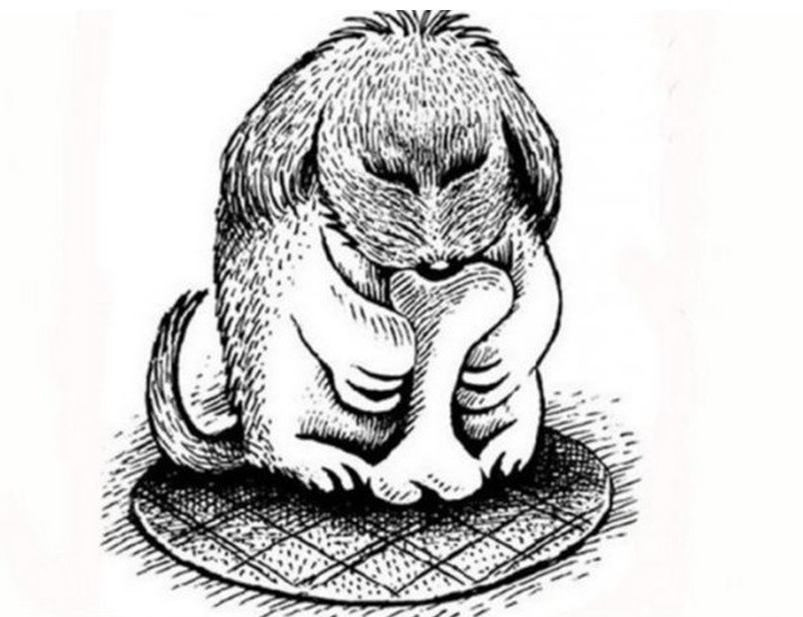 dog optical illusion answers 