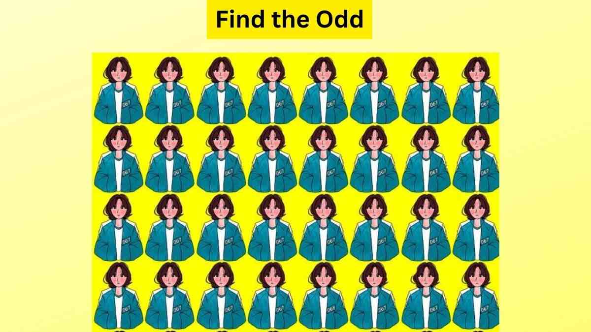 odd-one-out-puzzle-only-a-high-iq-person-can-spot-the-odd-korean