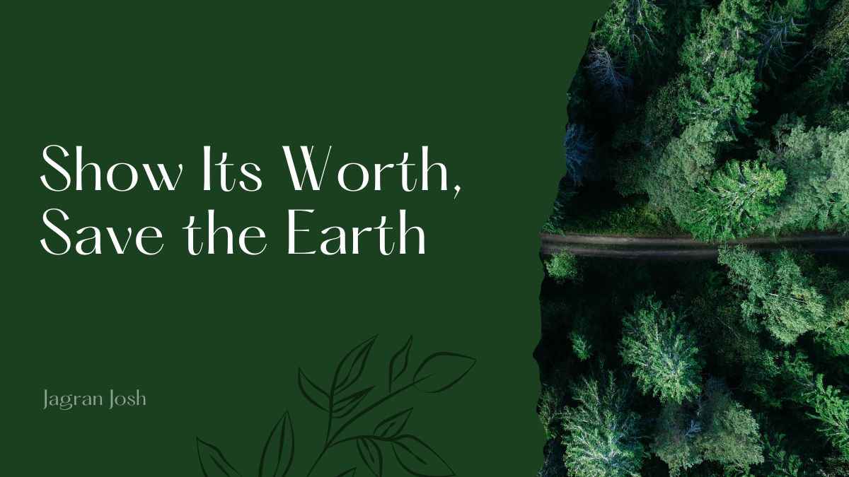World Environment Day 2024 Poster Slogan Essay And Short Speech Ideas