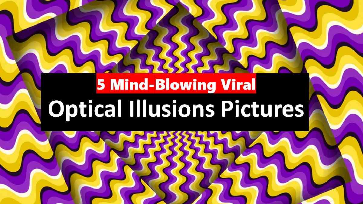 Viral Optical Illusions Pictures: In Photos