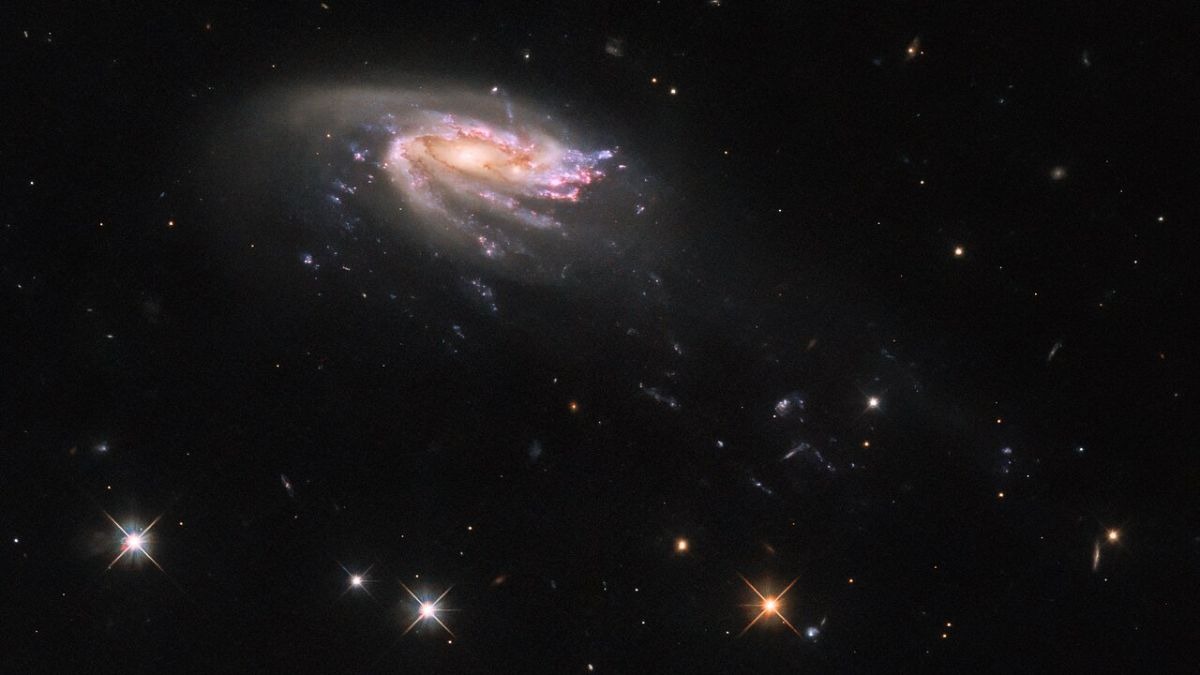 JO206: Astronomers Spot Rare Jellyfish Galaxy 700 Million Light-Years Away