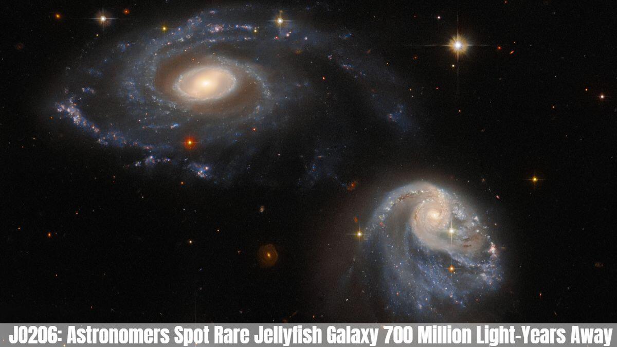  JO206: Astronomers Spot Rare Jellyfish Galaxy 700 Million Light-Years Away