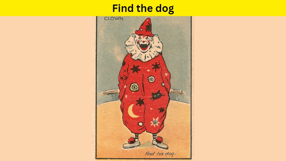 Can you spot the dog hidden in the clown picture within 6 seconds? Test your observation skills! 