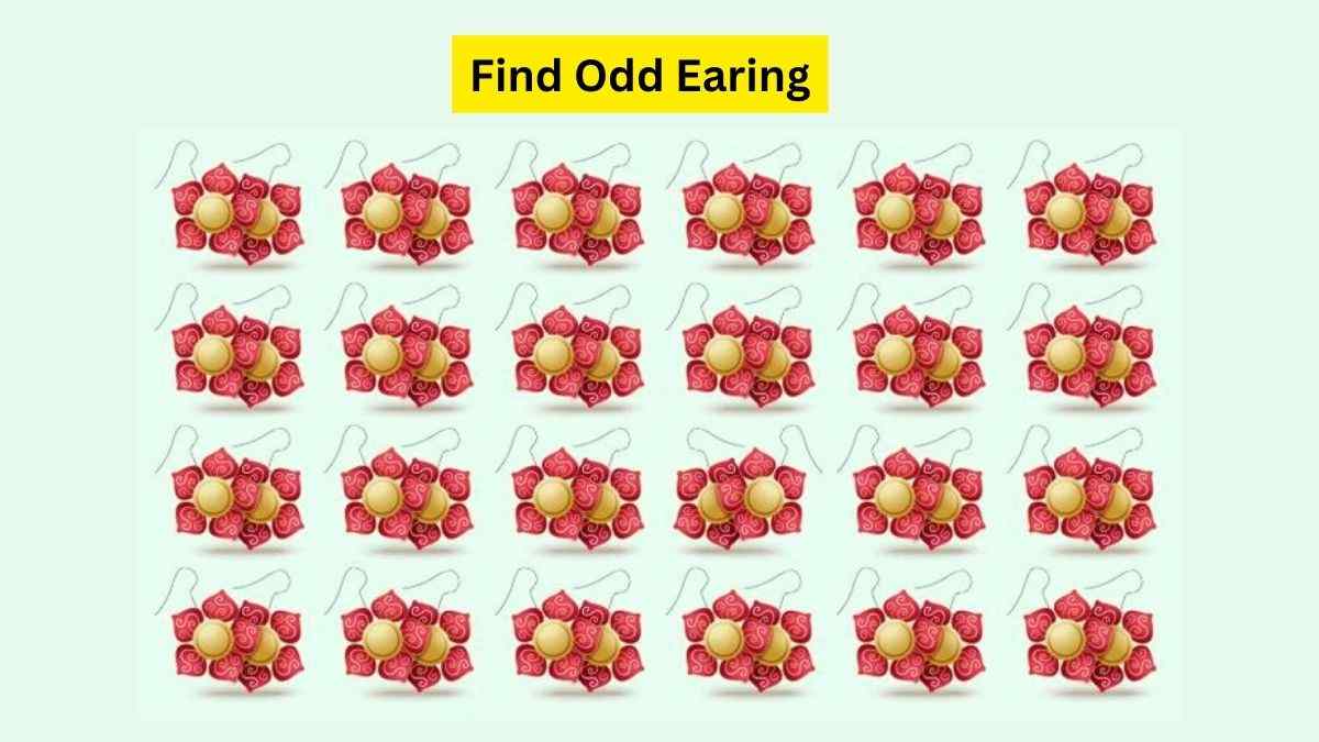 Can you find the odd earring in the picture?