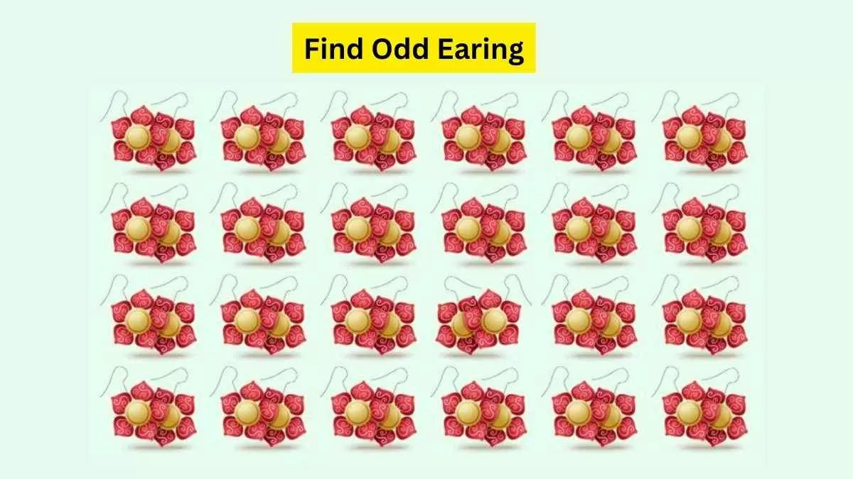 Can you find the odd earring in the picture?